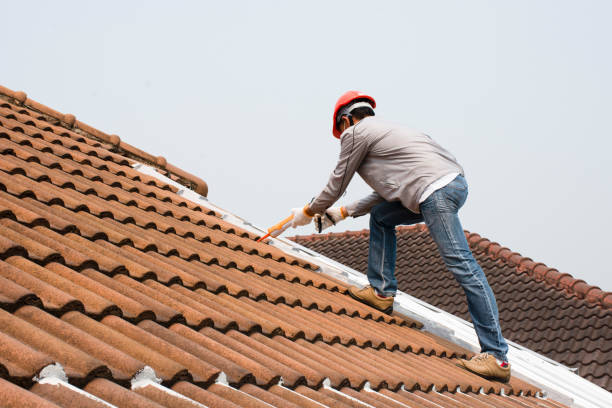Best Emergency Roof Repair Services  in Brooklawn, NJ