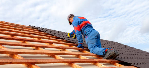 Best Skylight Installation and Repair  in Brooklawn, NJ